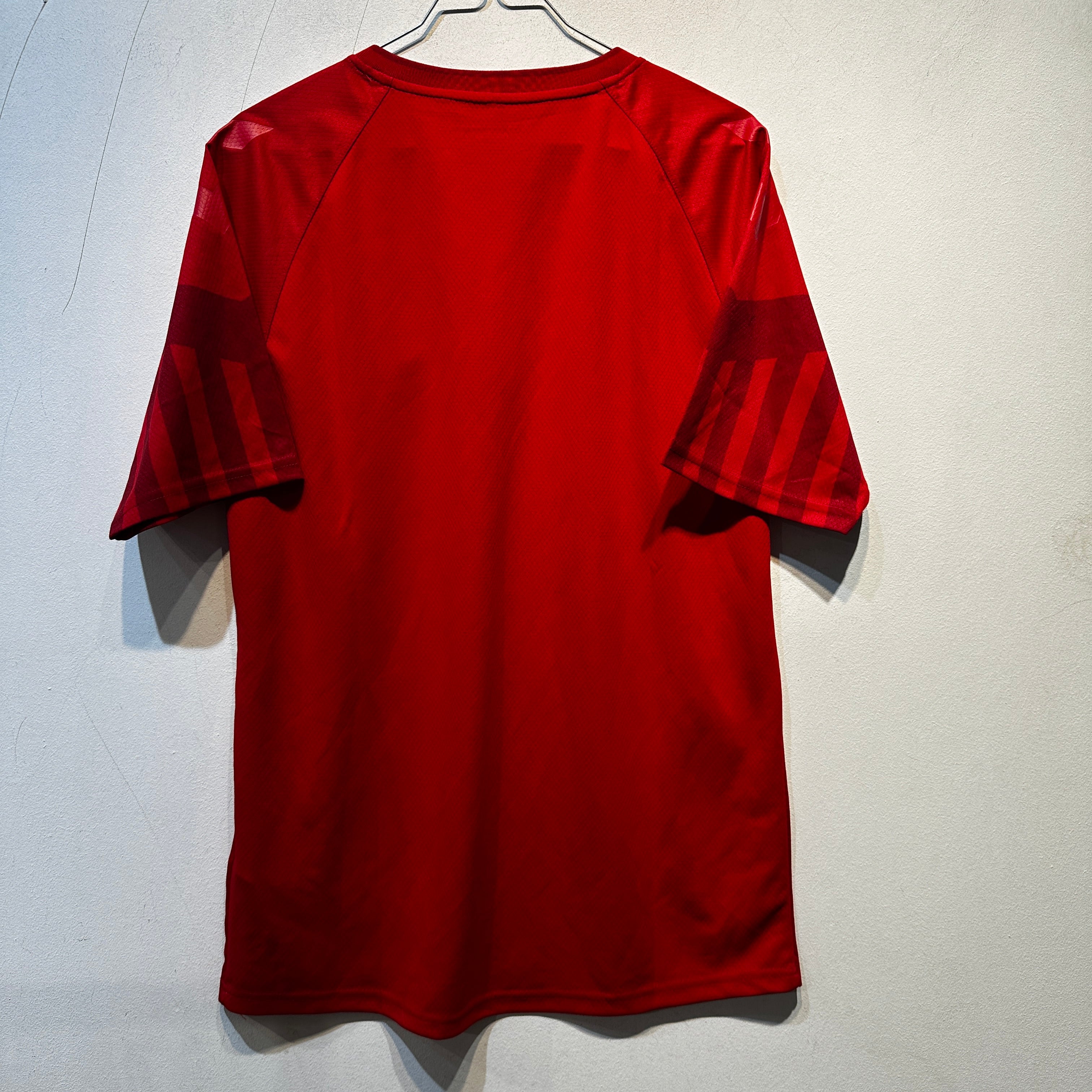 Denmark National Team Home Shirt – 2020/2021 – Large