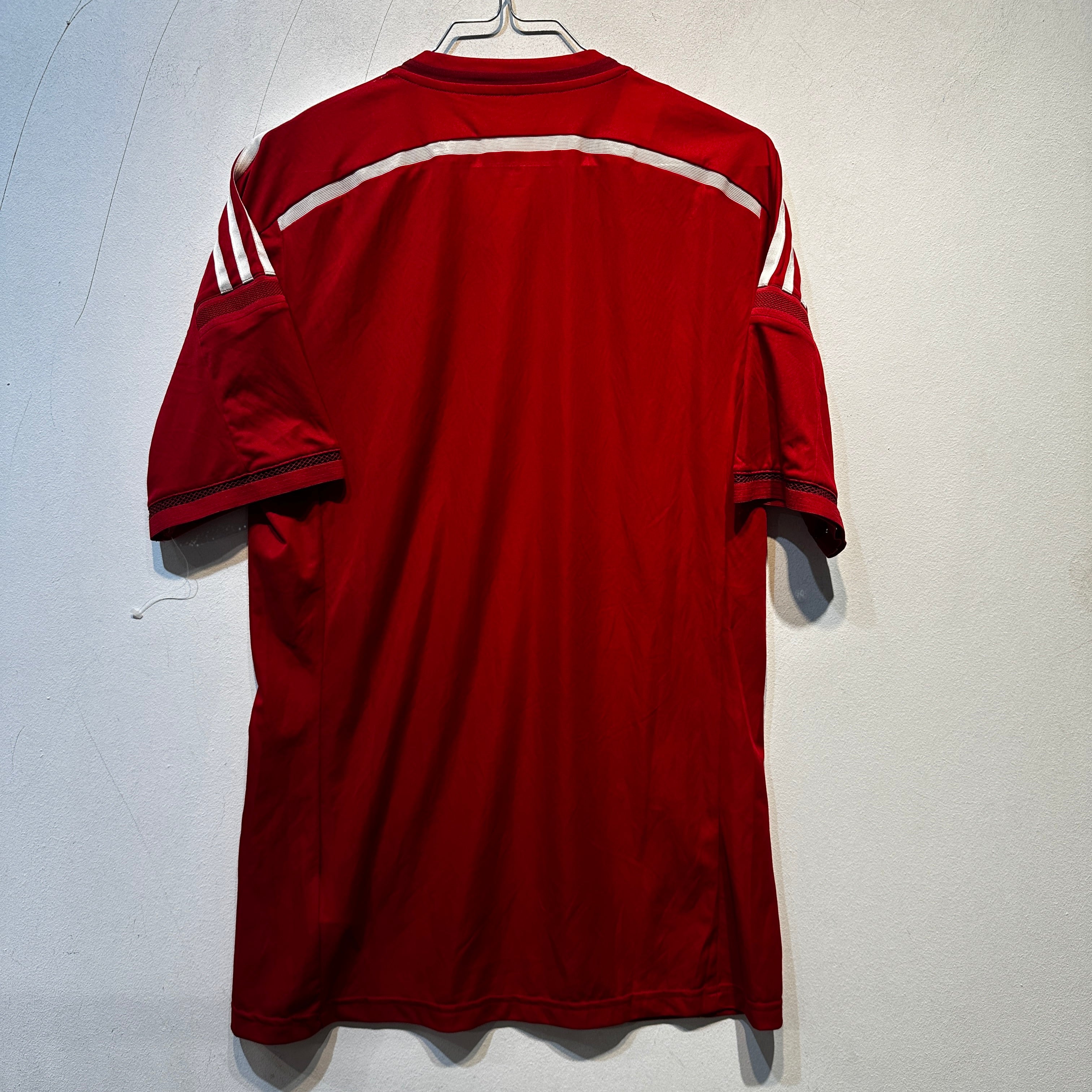Denmark National Team Home Shirt – 2013/2014 – Adult Small (6)