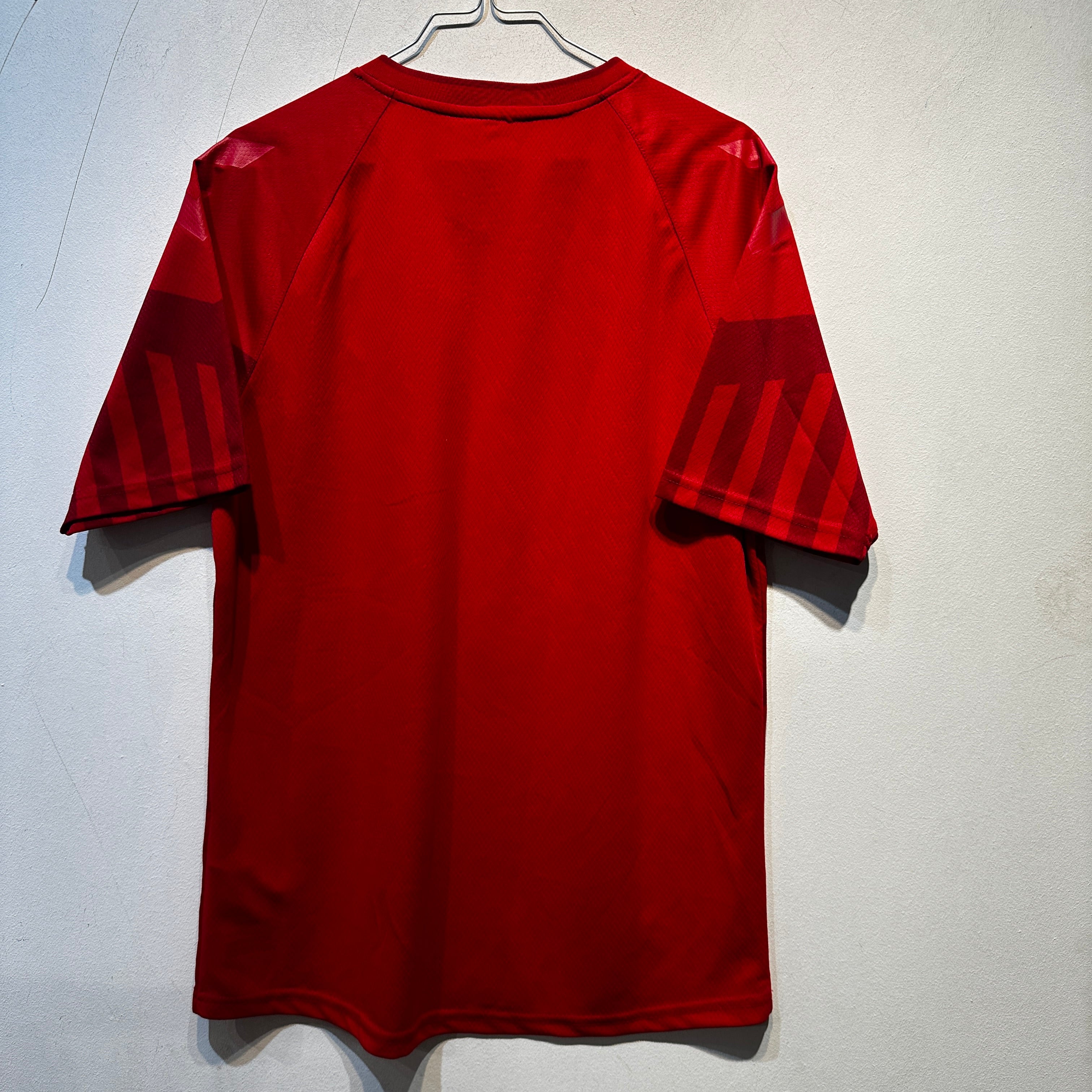 Denmark National Team Home Shirt – Euro 2020 – Adult Large