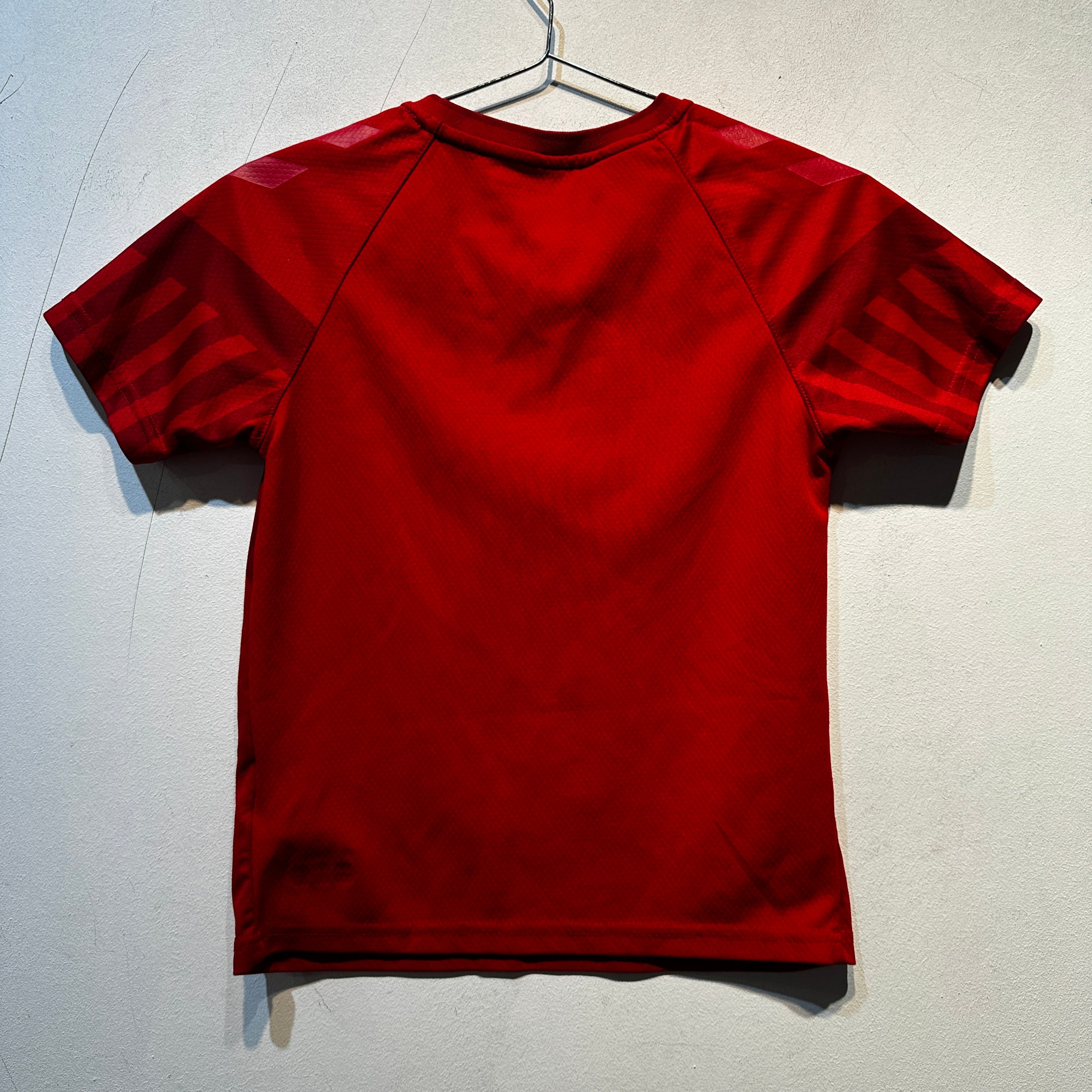 Denmark National Team Home Shirt – 2022/2023 – Youth 140