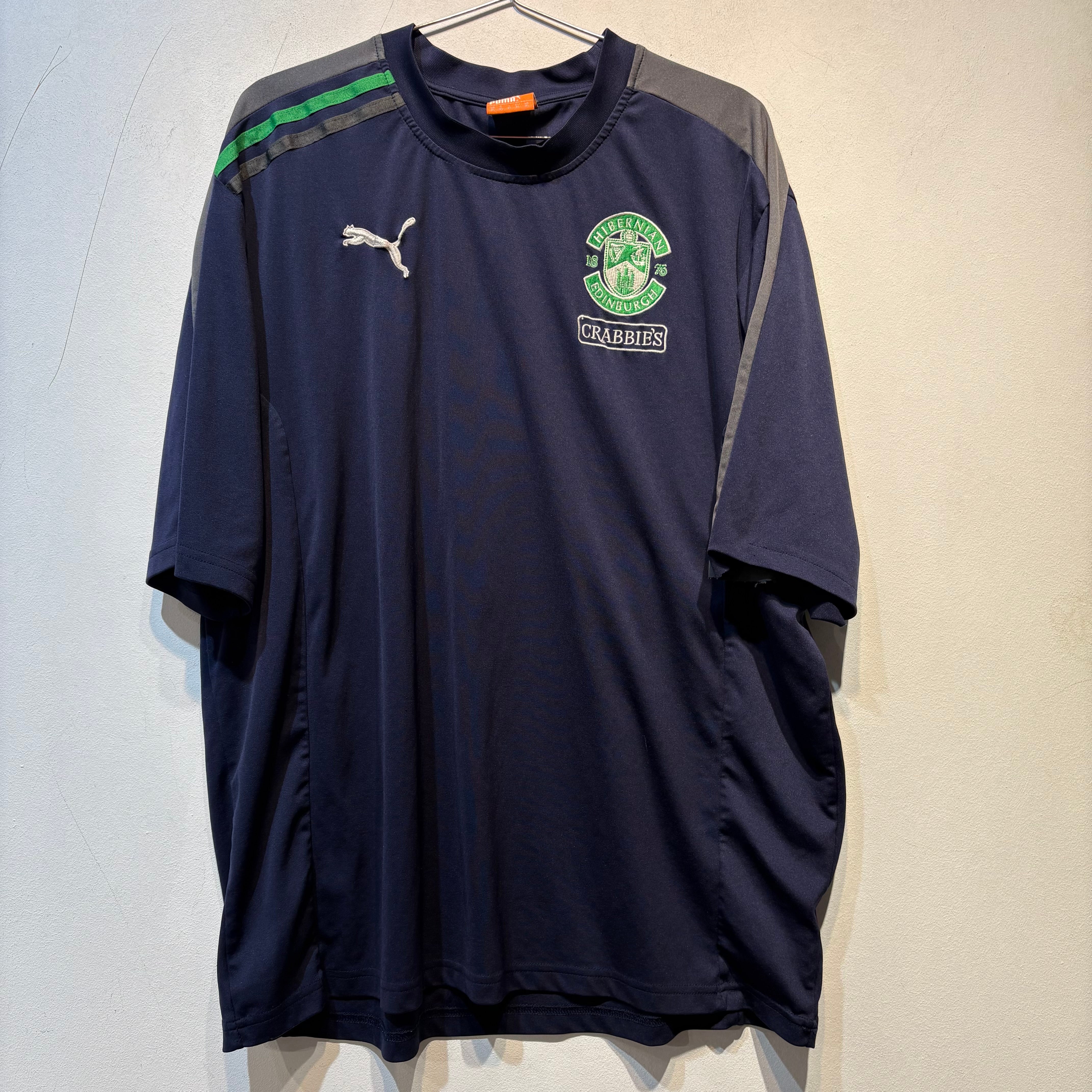 Hibernian Training Shirt – 2013/2014 – XL