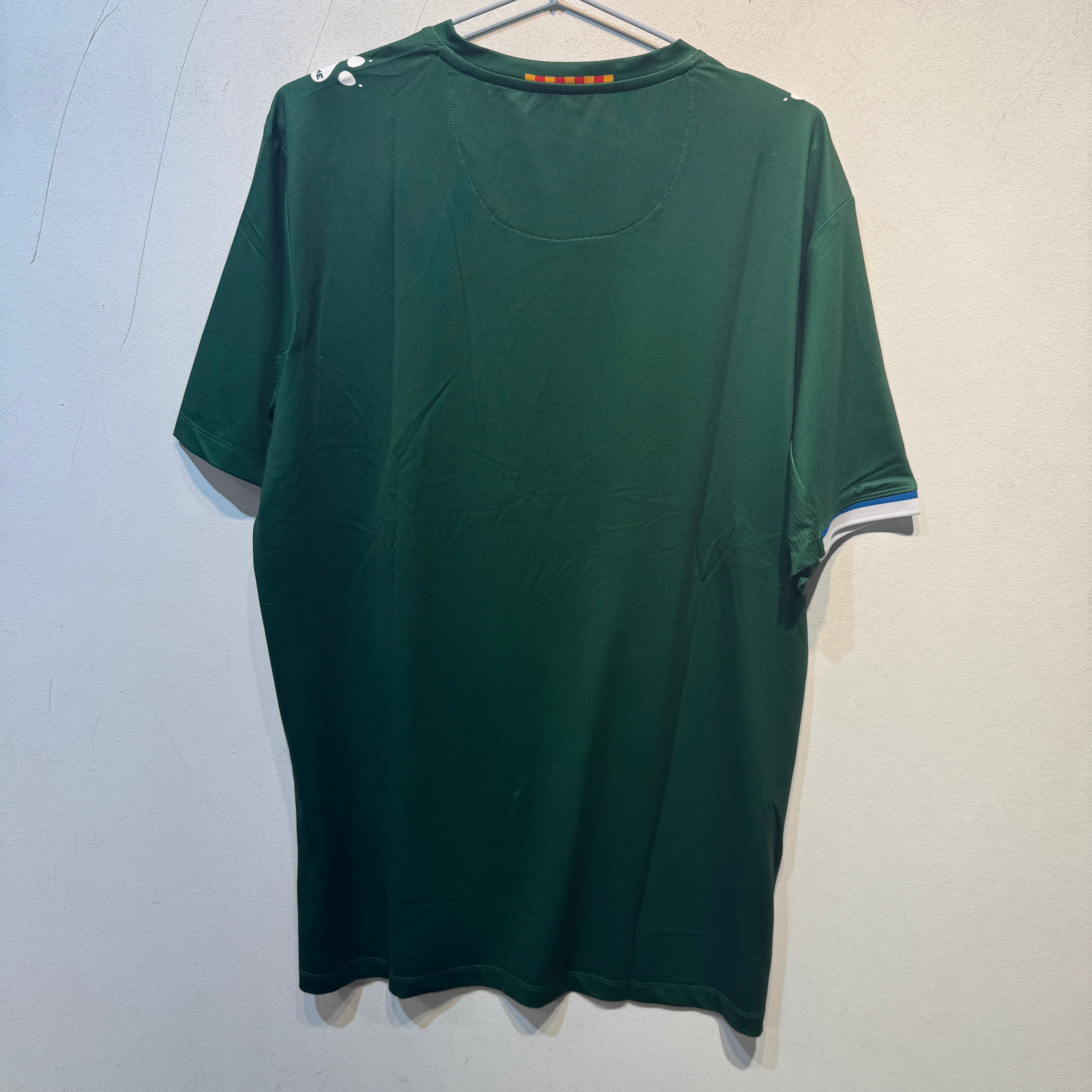 RCD Espanyol Away – 2022/2023 – Green – XL